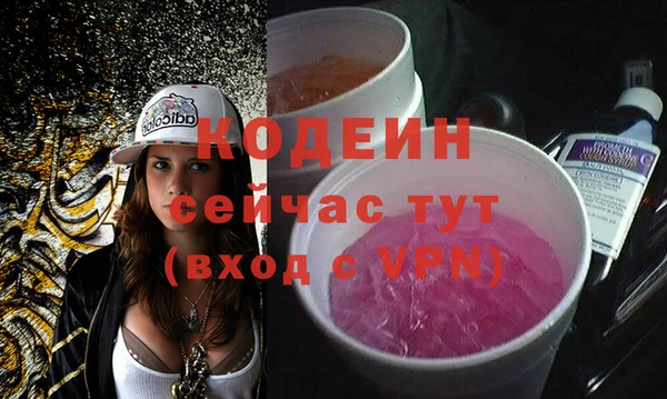 сатива Каменка