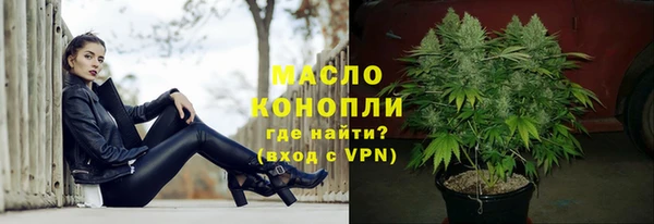 сатива Каменка