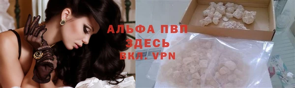 сатива Каменка