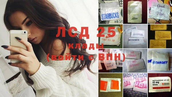сатива Каменка