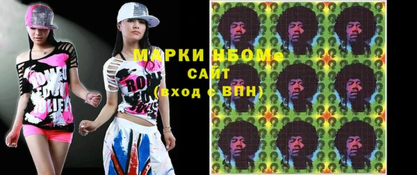 сатива Каменка