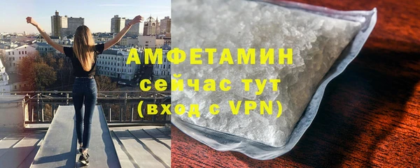 сатива Каменка