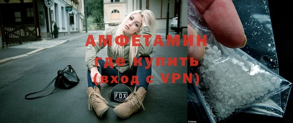 сатива Каменка