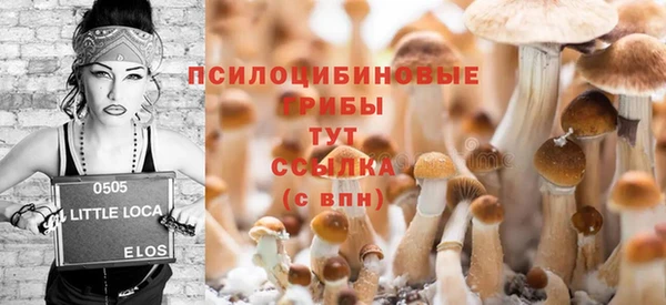 круглые Каменногорск