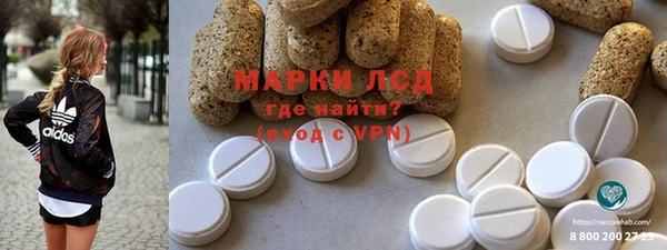 сатива Каменка