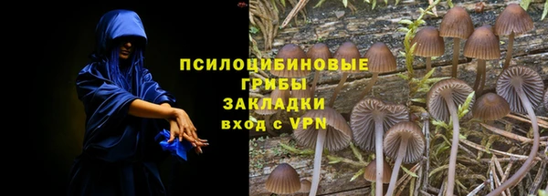 сатива Каменка