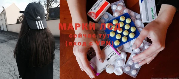 сатива Каменка