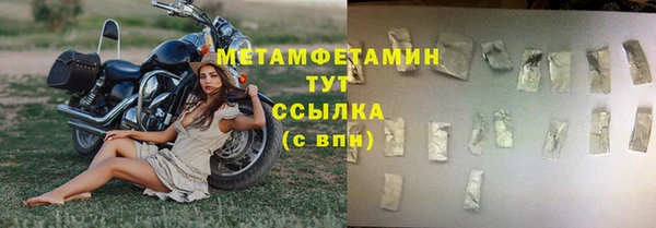 сатива Каменка