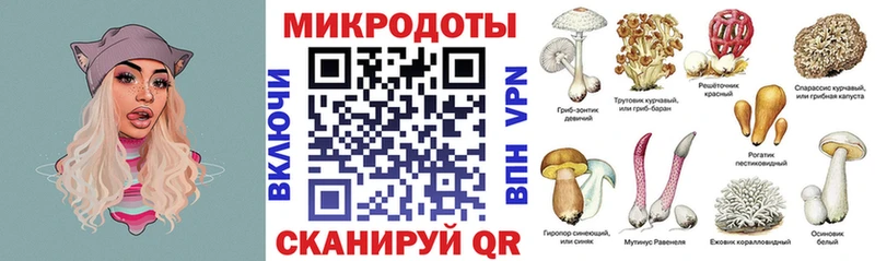 Псилоцибиновые грибы GOLDEN TEACHER  Купить где  Губаха 